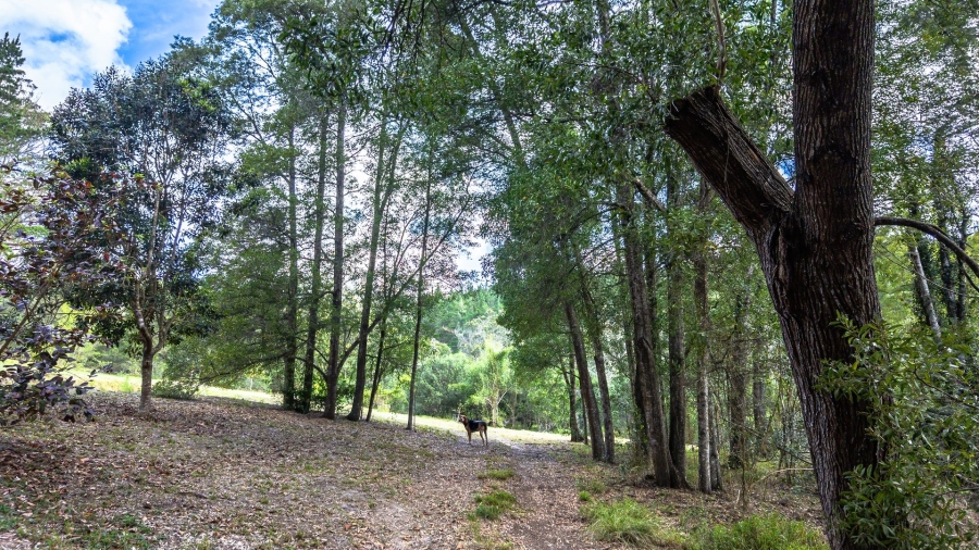 Commercial Property for Sale in Sedgefield Rural Western Cape